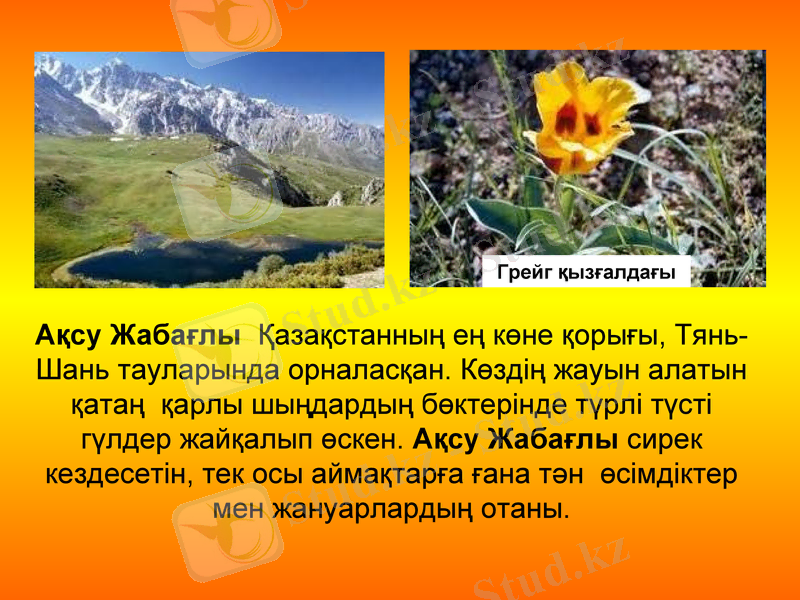 Slide 10
