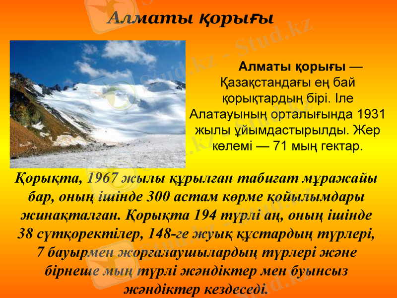 Slide 12