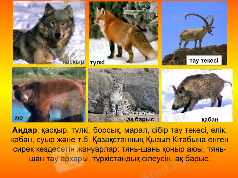 Slide 13