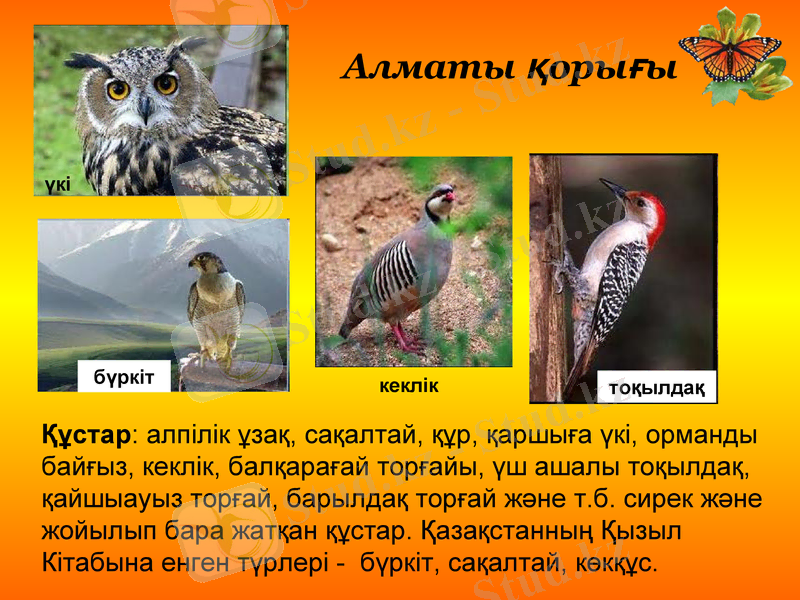 Slide 14