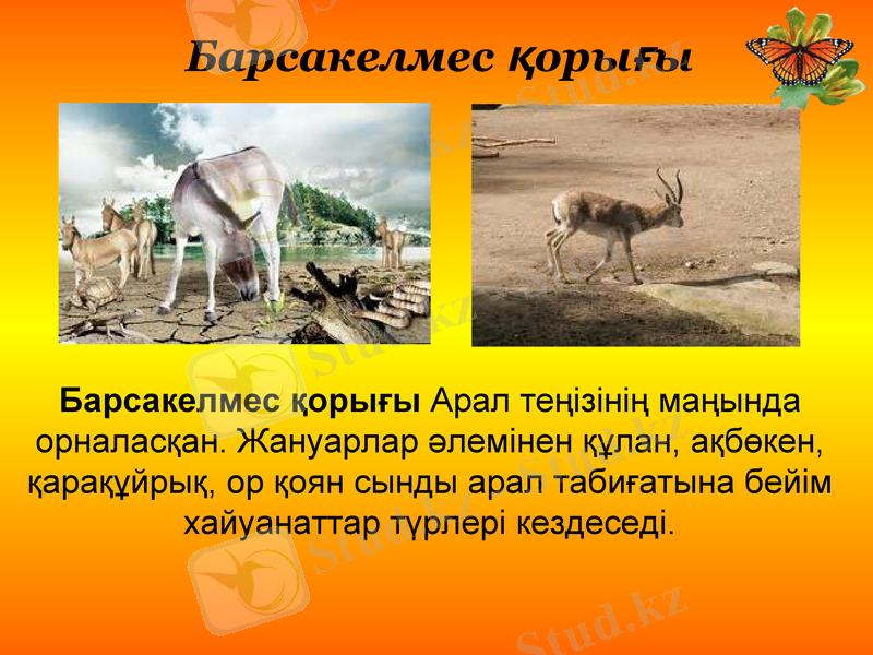 Slide 15