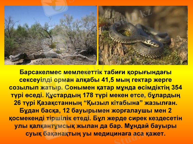Slide 16