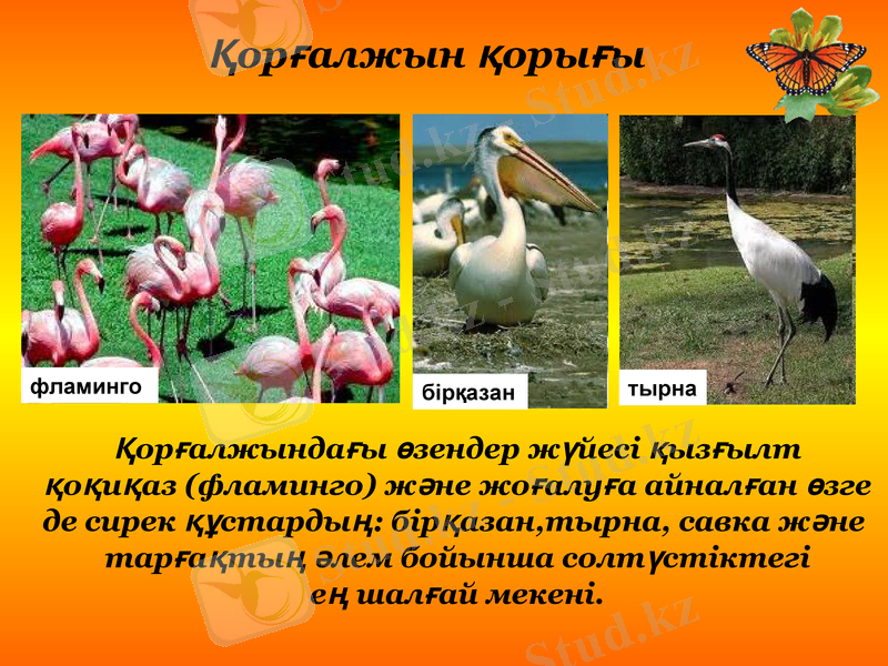 Slide 18