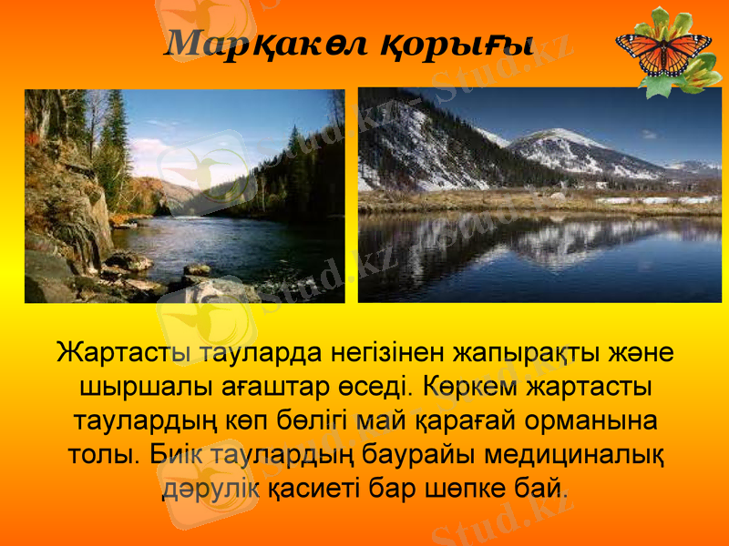 Slide 19