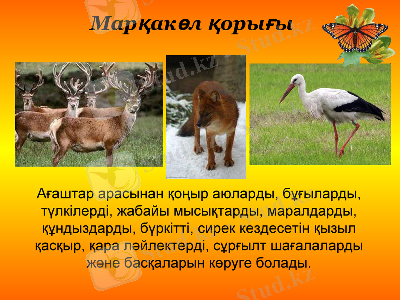 Slide 21
