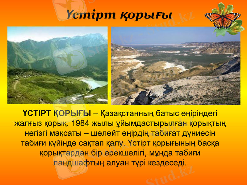 Slide 22