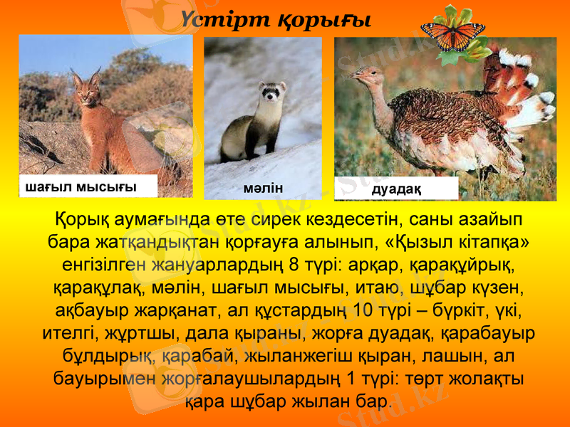 Slide 23
