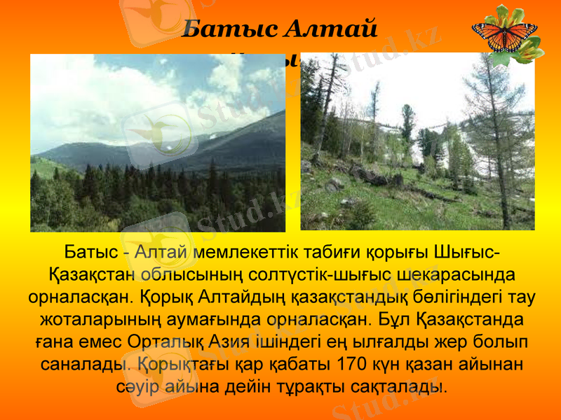 Slide 24