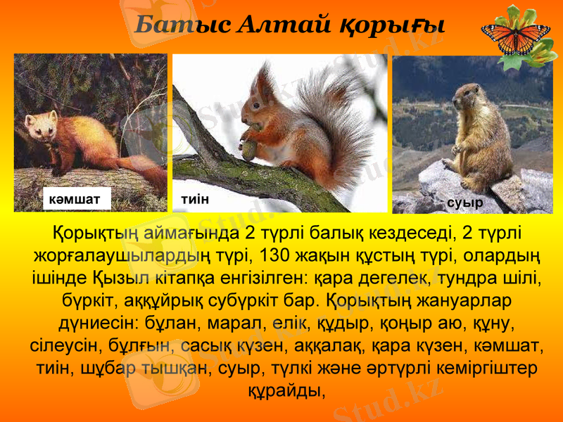 Slide 25