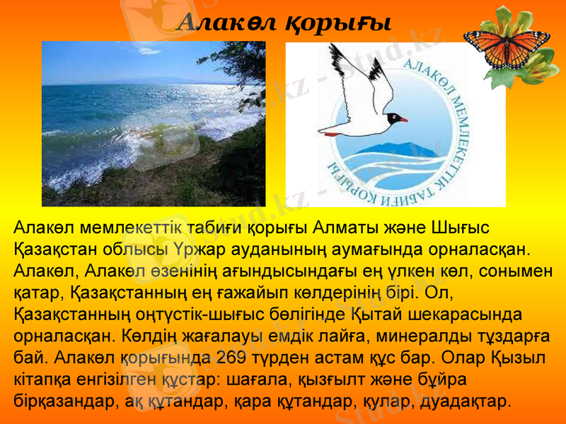 Slide 26