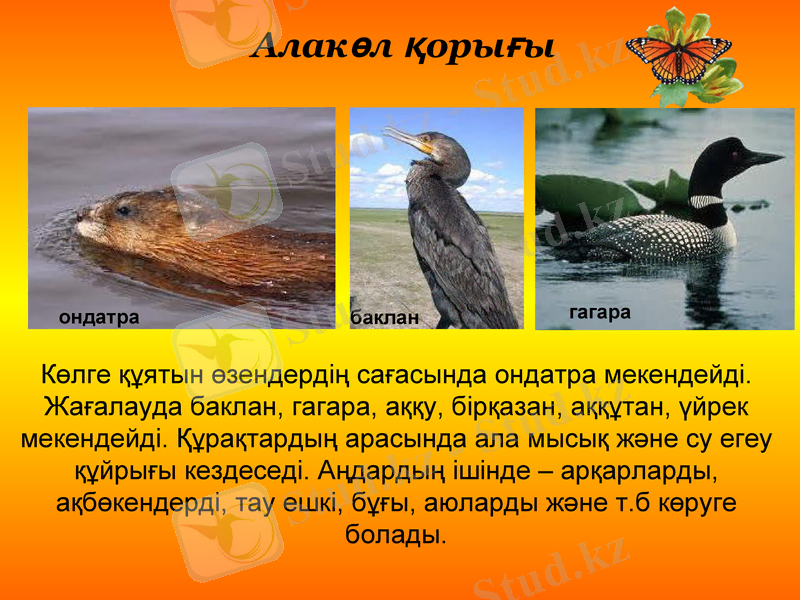 Slide 27