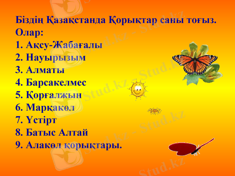 Slide 6