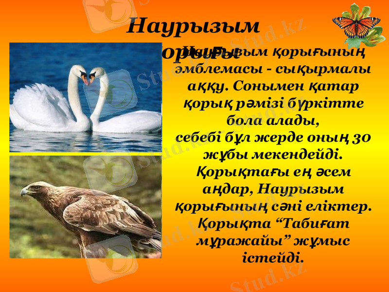 Slide 7