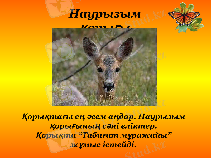 Slide 8