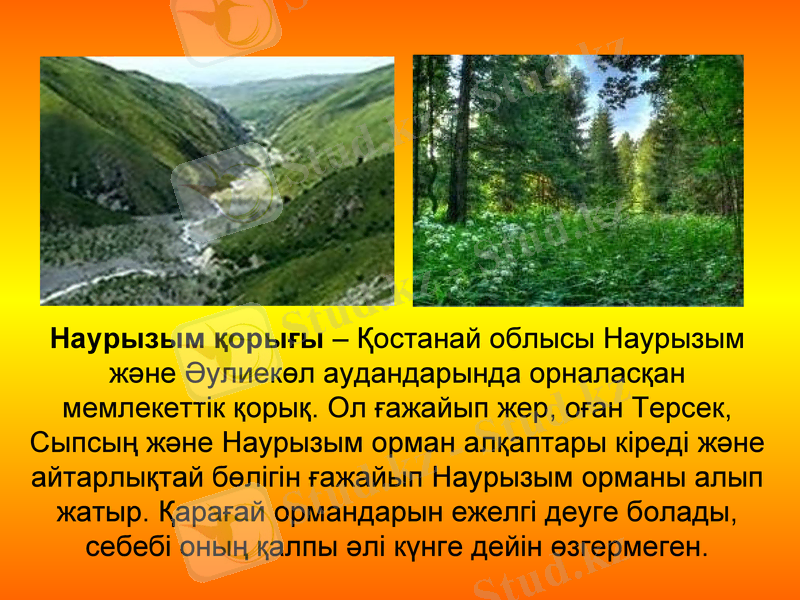 Slide 9