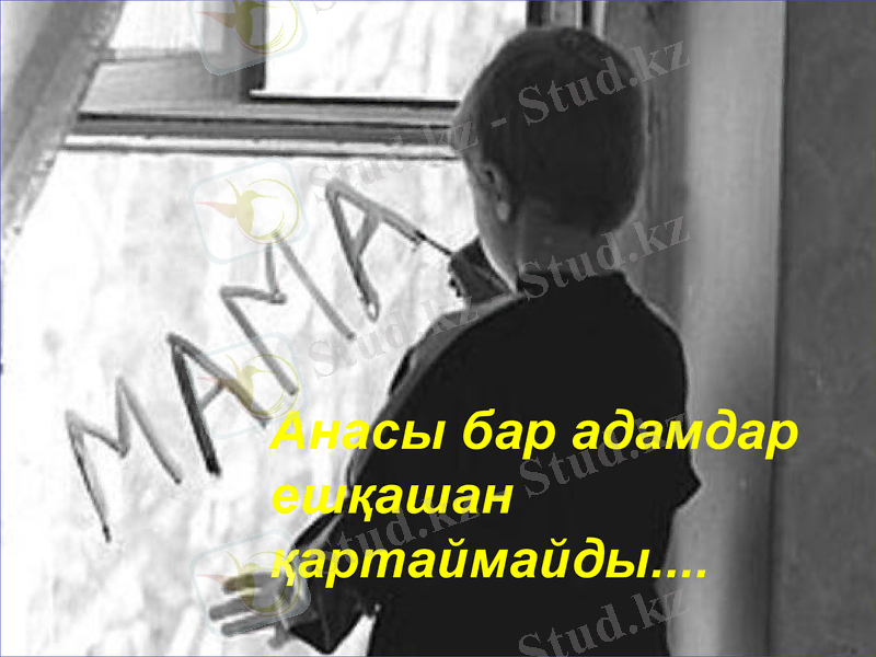 Slide 23