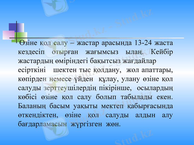 Slide 5
