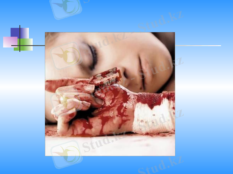 Slide 9