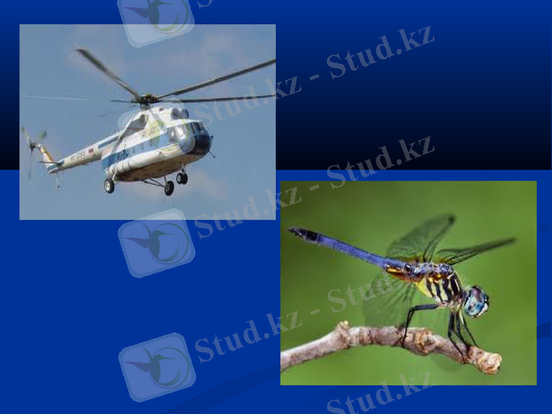 Slide 21