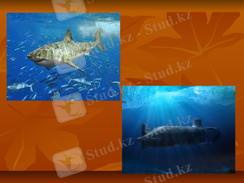 Slide 22