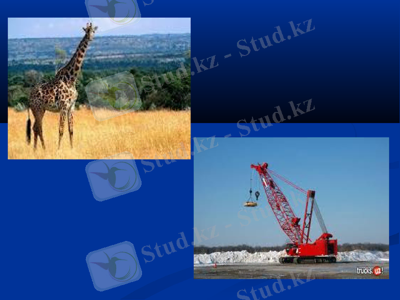 Slide 23