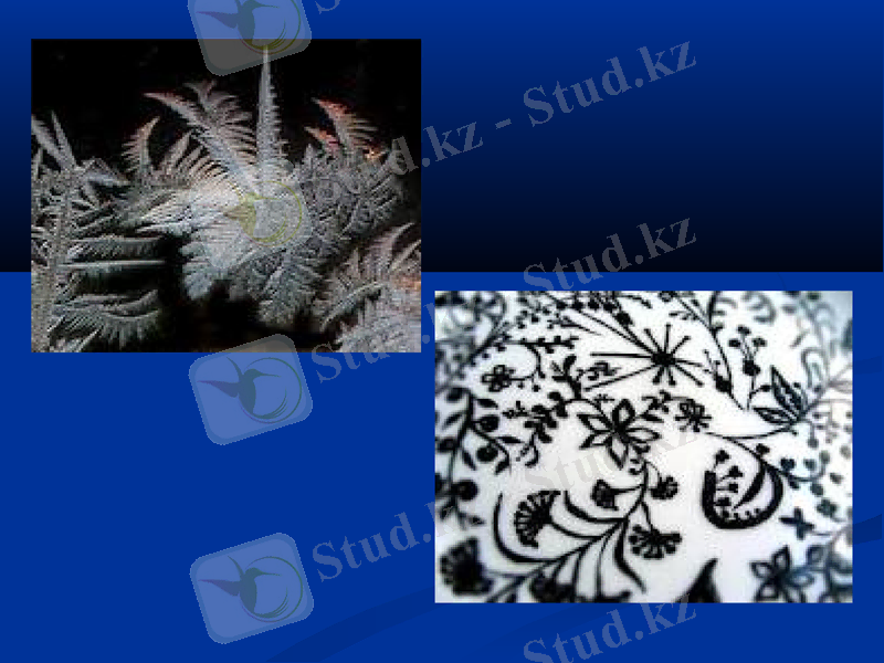 Slide 24