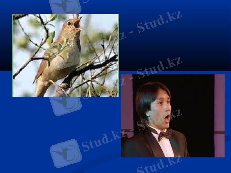 Slide 25