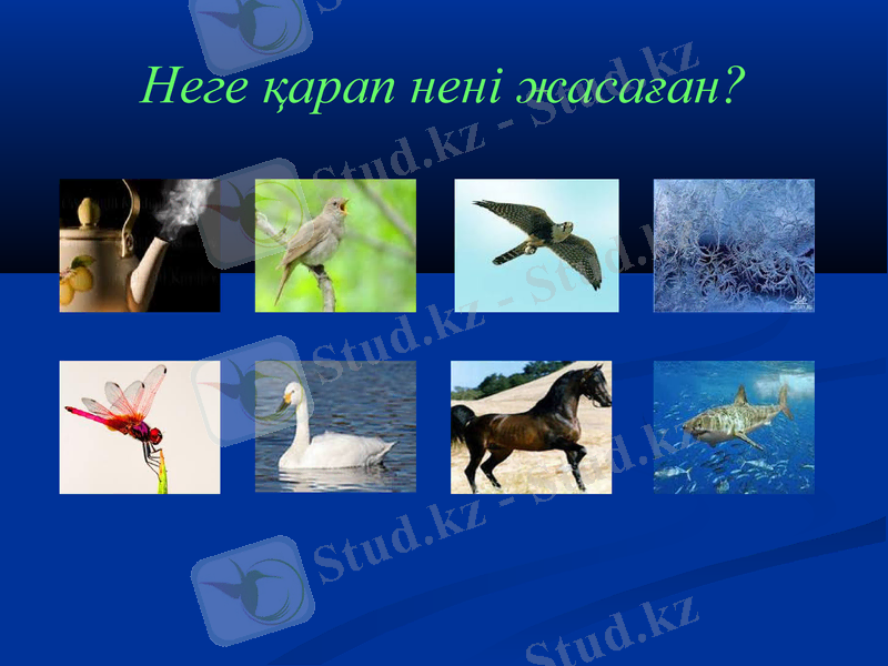 Slide 28