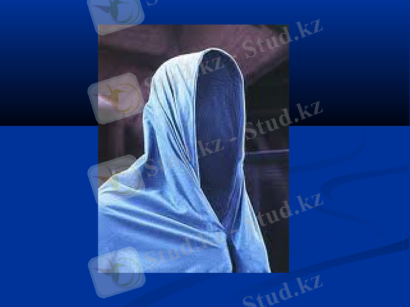 Slide 41