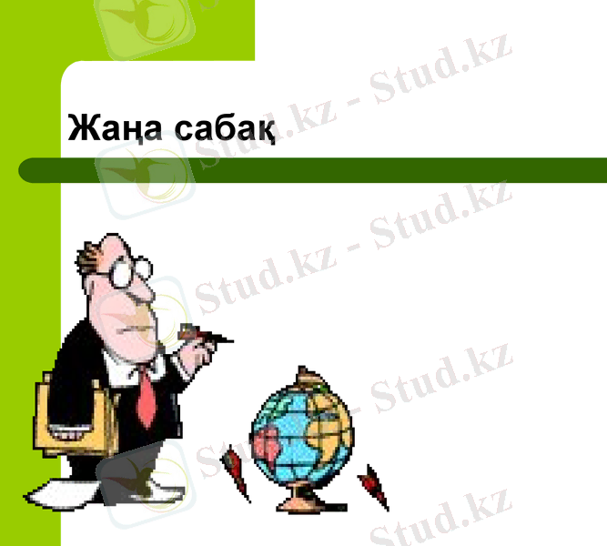 Slide 13