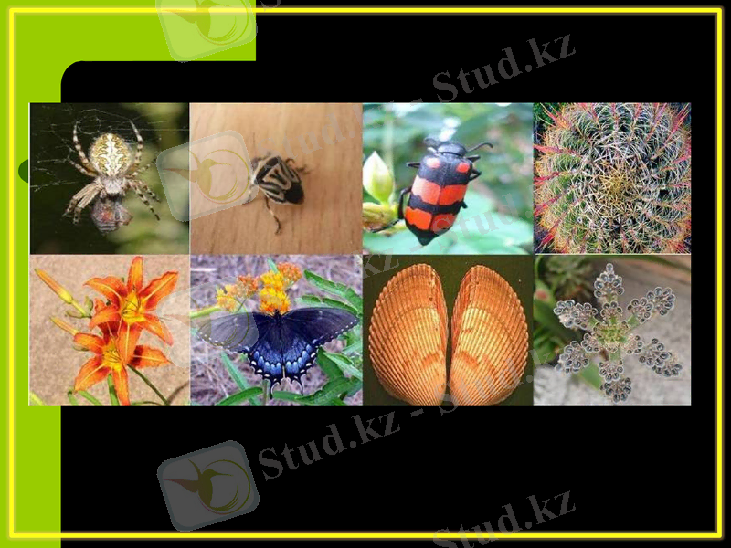 Slide 23