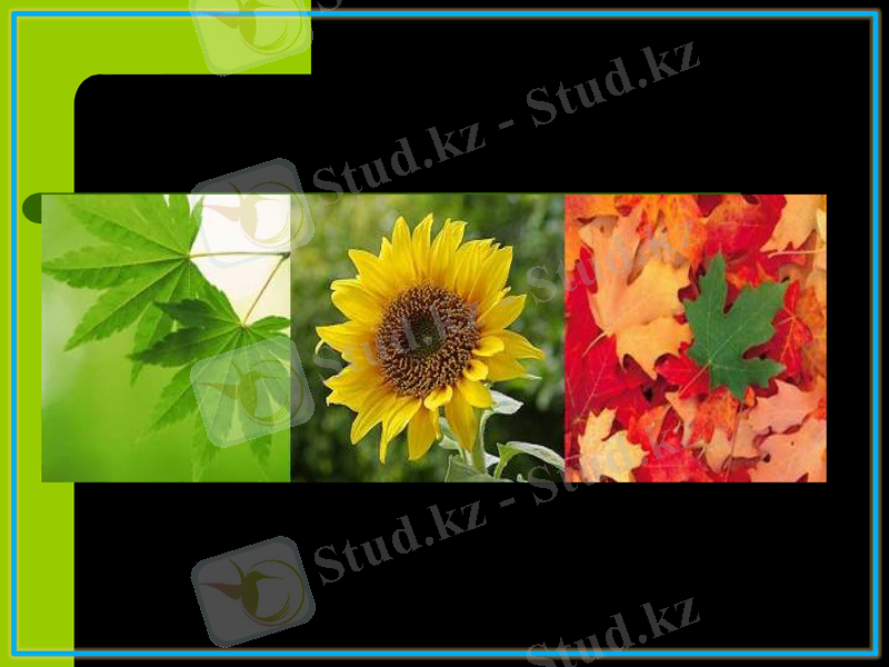 Slide 24