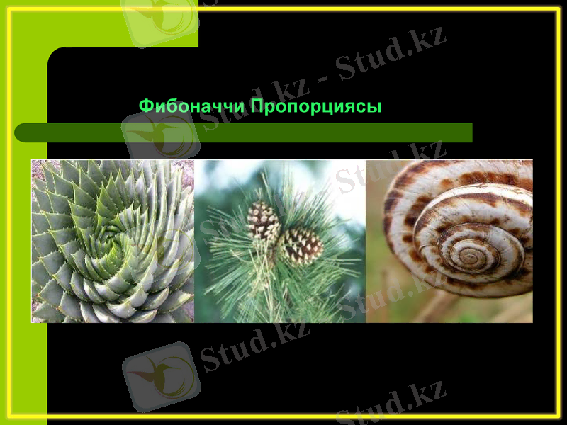 Slide 27