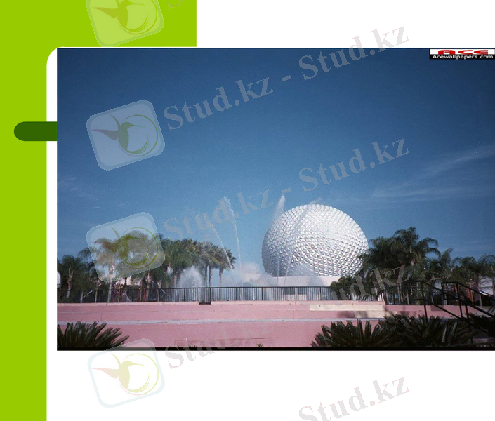 Slide 9