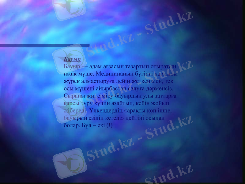 Slide 12