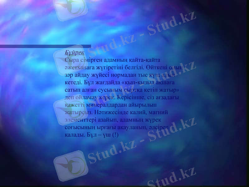 Slide 13