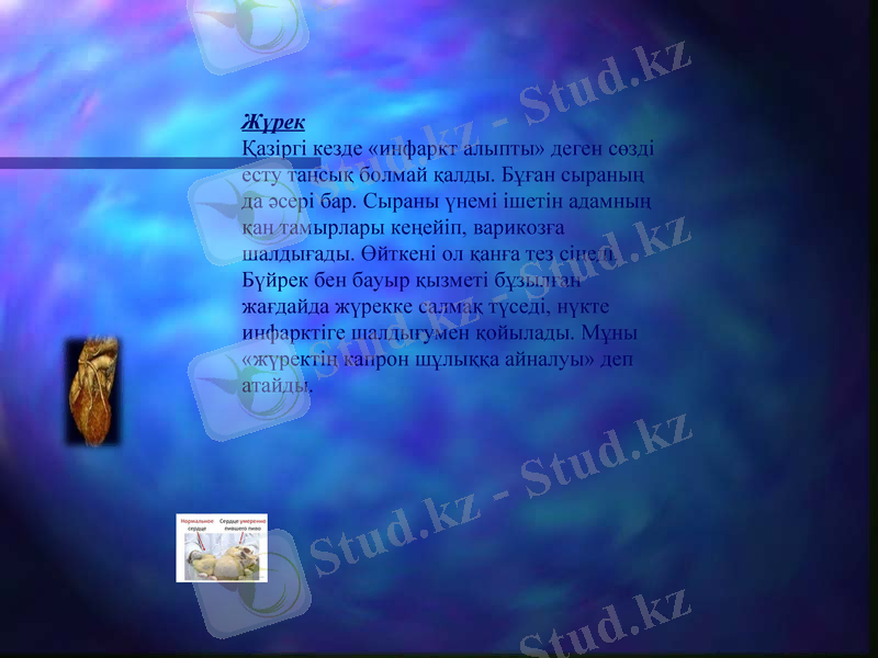 Slide 14