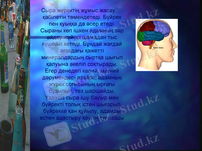 Slide 18
