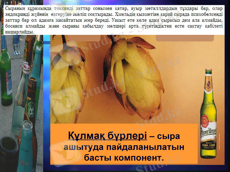 Slide 19