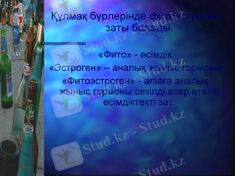 Slide 22