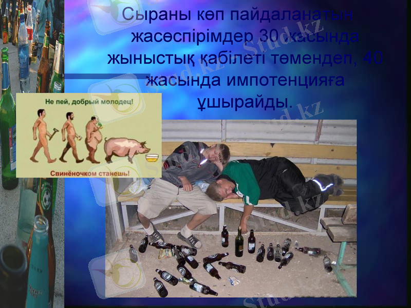 Slide 24