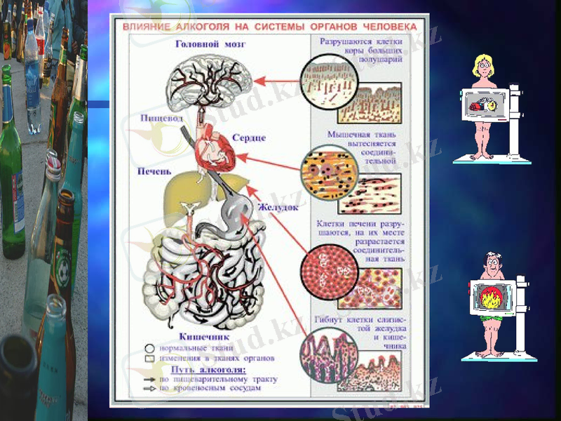 Slide 27