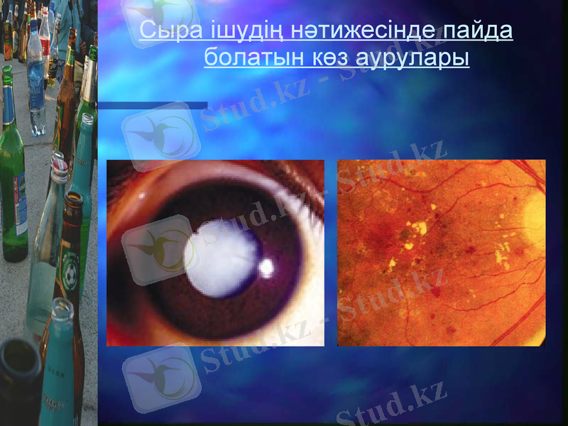Slide 28