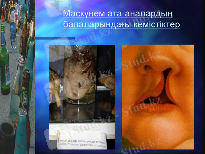 Slide 29