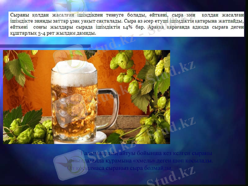 Slide 6