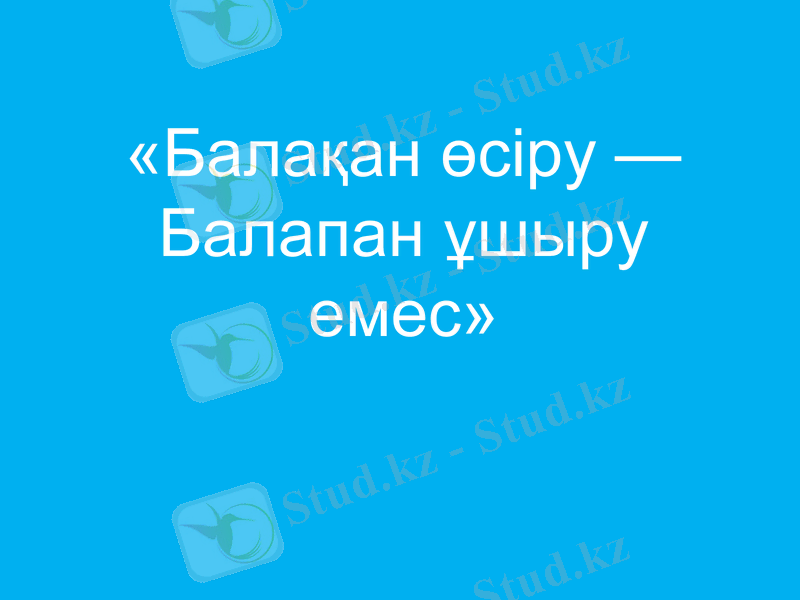Slide 8