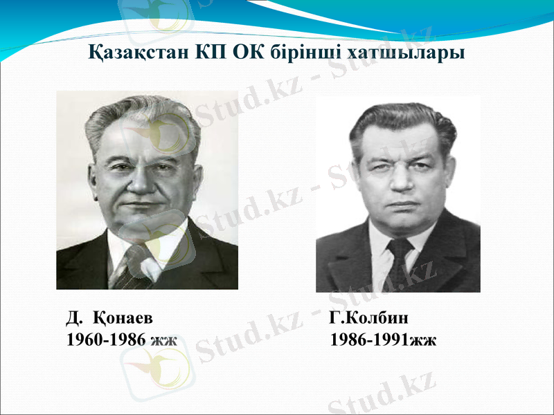 Slide 11
