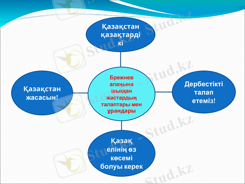 Slide 14
