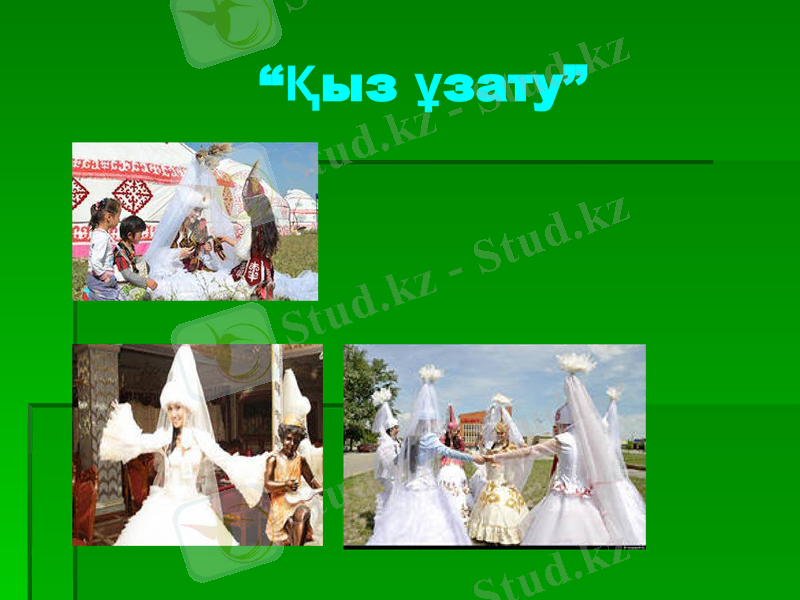 Slide 13