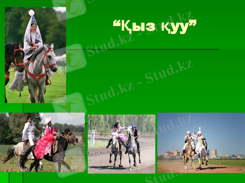 Slide 7